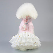 Load image into Gallery viewer, Pet Clothing Cat Dog Spring and Summer Obedient Rabbit Skirt, XS, S, M, L, XL