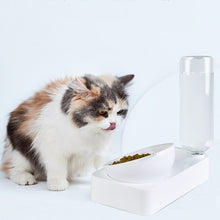 Load image into Gallery viewer, Pet Bowl Anti-tipping Automatic Drinking Water Feeding Bowl, Small