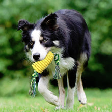 Load image into Gallery viewer, Dog Teething Stick Pet Chewing Toy, Pet Chewing Toy