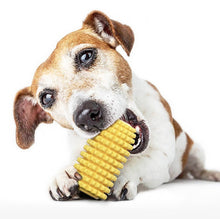 Load image into Gallery viewer, Dog Teething Stick Pet Chewing Toy, Pet Chewing Toy