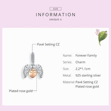 Load image into Gallery viewer, 925 Sterling Silver Pendant Can Open Forever Home Charm DIY Bracelet Accessory, SCC1299