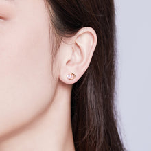 Load image into Gallery viewer, Sterling Silver Earrings Heart-shaped Rose Gold-plated Zircon Earrings, SCE090-C