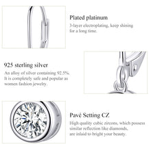 Load image into Gallery viewer, Sterling Silver S925 Earrings Simple Zircon Earrings, SCE747