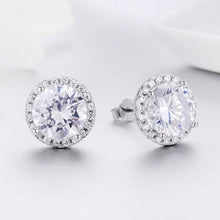 Load image into Gallery viewer, Zircon Earrings Sterling Silver Simple Girls Earrings, SCE358