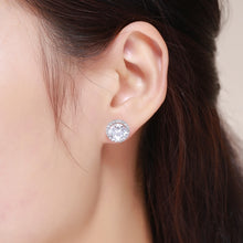Load image into Gallery viewer, Zircon Earrings Sterling Silver Simple Girls Earrings, SCE358