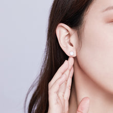 Load image into Gallery viewer, DIY Earrings Cat Sterling Silver Earrings Zircon Earrings