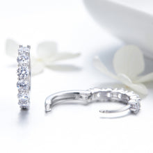 Load image into Gallery viewer, Platinum-plated Zircon Sterling Silver Jewelry Earrings, SCE524