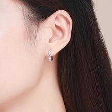 Load image into Gallery viewer, Platinum-plated Zircon Sterling Silver Jewelry Earrings, SCE524