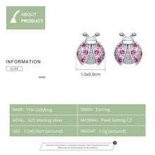 Load image into Gallery viewer, Sterling Silver Insect Earrings Seven-star Ladybug Earrings Platinum-plated Girl Earrings, SCE715