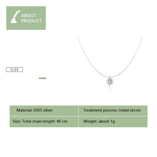 Load image into Gallery viewer, Invisible Fish Line Necklace Zircon Pendant S925 Sterling Silver Necklace, SCN332