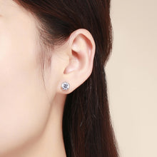 Load image into Gallery viewer, S925 Sterling Silver Stud Earrings Zircon Earrings, SCE499
