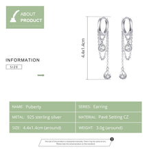 Load image into Gallery viewer, Sterling Silver Earrings Zircon Tassel Long Earrings S925 Girl Earrings jewelry, SCE638