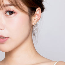 Load image into Gallery viewer, Sterling Silver Earrings Zircon Tassel Long Earrings S925 Girl Earrings jewelry, SCE638