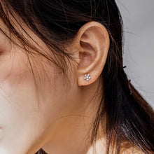 Load image into Gallery viewer, Sterling Silver Flower Earrings S925 Temperament Simple Zircon Earrings, SCE784