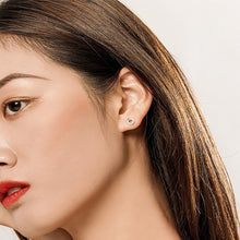 Load image into Gallery viewer, S925 Sterling Silver Small Circle Earrings Platinum Plated Zircon Silver Earrings, SCE767