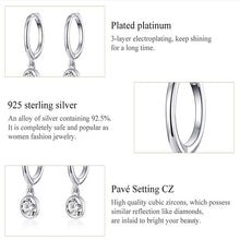 Load image into Gallery viewer, S925 Sterling Silver Platinum-plated Earrings Temperament Zircon Earrings, SCE830