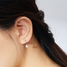 Load image into Gallery viewer, S925 Sterling Silver Platinum-plated Earrings Temperament Zircon Earrings, SCE830
