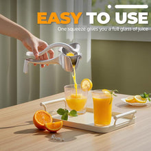 Load image into Gallery viewer, LsCook Aluminum Detachable Manual Juicer Lemon Watermelon Orange Fruit Juicer, Silver