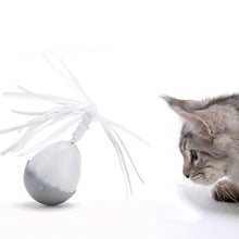 Load image into Gallery viewer, Pet Funny Cat Toy Pet Tumbler Toy Pet Electric Toy, Pet Funny Cat Toy