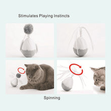 Load image into Gallery viewer, Pet Funny Cat Toy Pet Tumbler Toy Pet Electric Toy, Pet Funny Cat Toy