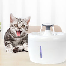 Load image into Gallery viewer, Pet Water Dispenser Electric Circulating Water Pet Water Dispenser, Basic, Night Light