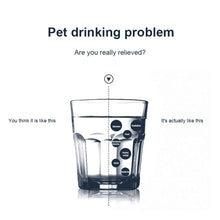Load image into Gallery viewer, Pet Water Dispenser Electric Circulating Water Pet Water Dispenser, Basic, Night Light