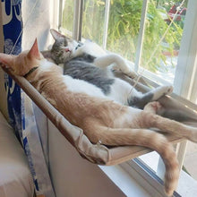 Load image into Gallery viewer, Pets Suction Cup Cat Hammock Window Hanging Hammock, Blue, Green, Purple, Khaki