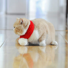 Load image into Gallery viewer, Pet Christmas Wool Scarf Medium &amp; Large Dog Saliva Towel, XXS, XS, S, M, L, XL