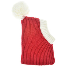 Load image into Gallery viewer, Pet Autumn &amp; Winter Woolen Christmas Hat, XS, S, M, L, XL
