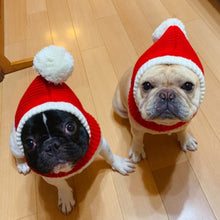 Load image into Gallery viewer, Pet Autumn &amp; Winter Woolen Christmas Hat, XS, S, M, L, XL