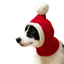 Load image into Gallery viewer, Pet Autumn &amp; Winter Woolen Christmas Hat, XS, S, M, L, XL