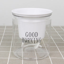 Automatic Water Absorption Hydroponic Pot Succulent Plant Flower Pot, Transparent With Words