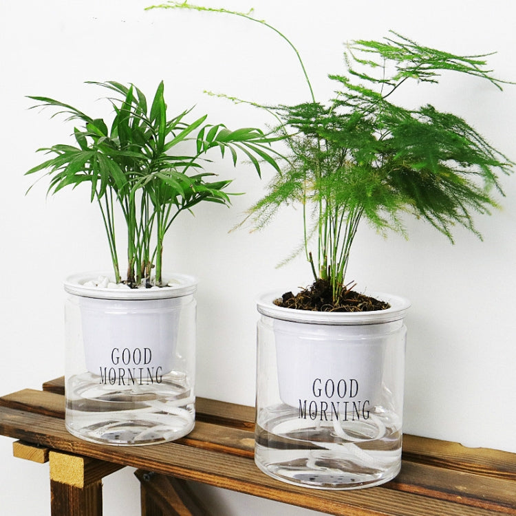 Automatic Water Absorption Hydroponic Pot Succulent Plant Flower Pot, Transparent Without Words, Transparent With Words