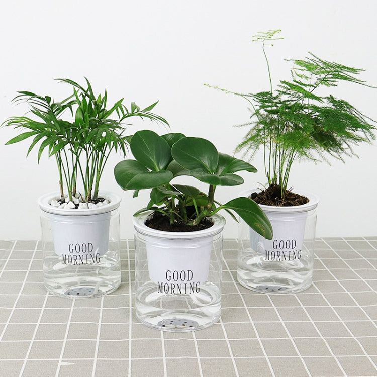 Automatic Water Absorption Hydroponic Pot Succulent Plant Flower Pot, Transparent Without Words, Transparent With Words
