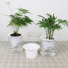 Load image into Gallery viewer, Automatic Water Absorption Hydroponic Pot Succulent Plant Flower Pot, Transparent Without Words, Transparent With Words