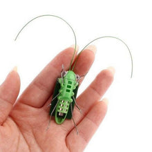 Load image into Gallery viewer, Children Baby Solar Power Energy Insect Grasshopper Cricket Kids Toy Gift