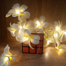Load image into Gallery viewer, 1.5m 10 LEDs Battery Powered Warm White Creative DIY Frangipani LED String Lights Floral Holiday Lighting Event Party Garland Bedroom Decoration