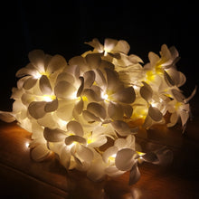 Load image into Gallery viewer, 1.5m 10 LEDs Battery Powered Warm White Creative DIY Frangipani LED String Lights Floral Holiday Lighting Event Party Garland Bedroom Decoration