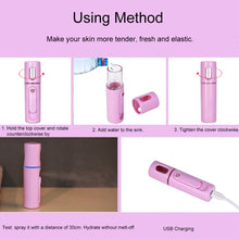 Load image into Gallery viewer, Facial Steamer Nano Steamer Handy  Face Moisture Sprayer Rechargeable Mini USB Charging