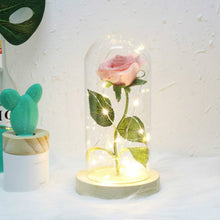 Load image into Gallery viewer, Simulation Roses Lights Glass Cover Decorations Crafts Valentines Day Gifts
