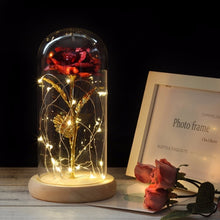 Load image into Gallery viewer, Simulation Roses Lights Glass Cover Decorations Crafts Valentines Day Gifts