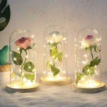 Load image into Gallery viewer, Simulation Roses Lights Glass Cover Decorations Crafts Valentines Day Gifts