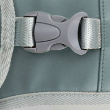 Load image into Gallery viewer, TAILUP Pets Carry Out Shoulder Bag Convenient Foldable Leather Chest Bag, S, M