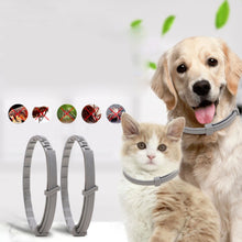 Load image into Gallery viewer, Pet Flea &amp; Anti-Lice Collar Pet In Vitro Insect Repellent Ring, Cat/38cm, Small Dog/38cm, Large Dog/70cm