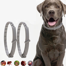 Load image into Gallery viewer, Pet Flea &amp; Anti-Lice Collar Pet In Vitro Insect Repellent Ring, Cat/38cm, Small Dog/38cm, Large Dog/70cm