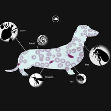 Load image into Gallery viewer, Pet Flea &amp; Anti-Lice Collar Pet In Vitro Insect Repellent Ring, Cat/38cm, Small Dog/38cm, Large Dog/70cm
