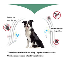 Load image into Gallery viewer, Pet Flea &amp; Anti-Lice Collar Pet In Vitro Insect Repellent Ring, Cat/38cm, Small Dog/38cm, Large Dog/70cm