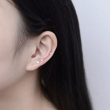Load image into Gallery viewer, 20 Pairs / Pack Six-Jaw Zircon Earrings Female Pearl Diamond Jewelry