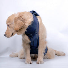 Load image into Gallery viewer, Pet Leash Senior Dogs Walking Aids Chest Harness, XS, S, M, L, XL