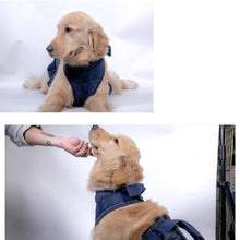 Load image into Gallery viewer, Pet Leash Senior Dogs Walking Aids Chest Harness, XS, S, M, L, XL